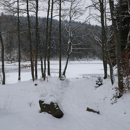 Appartamento La Diligence Arsdorf Esterno foto